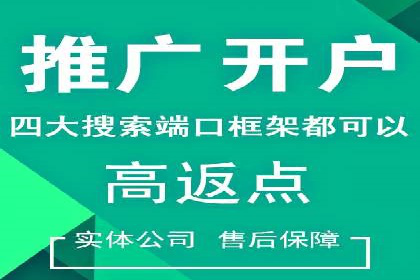 XX行业竞价广告的创意与执行：一则成功案例剖析